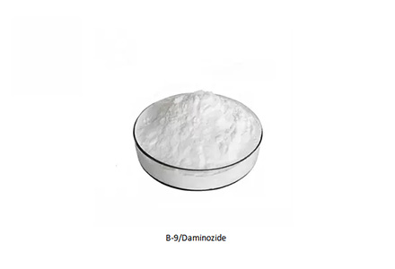 Daminozid (B-Nine / B9) CAS 1596-84-5